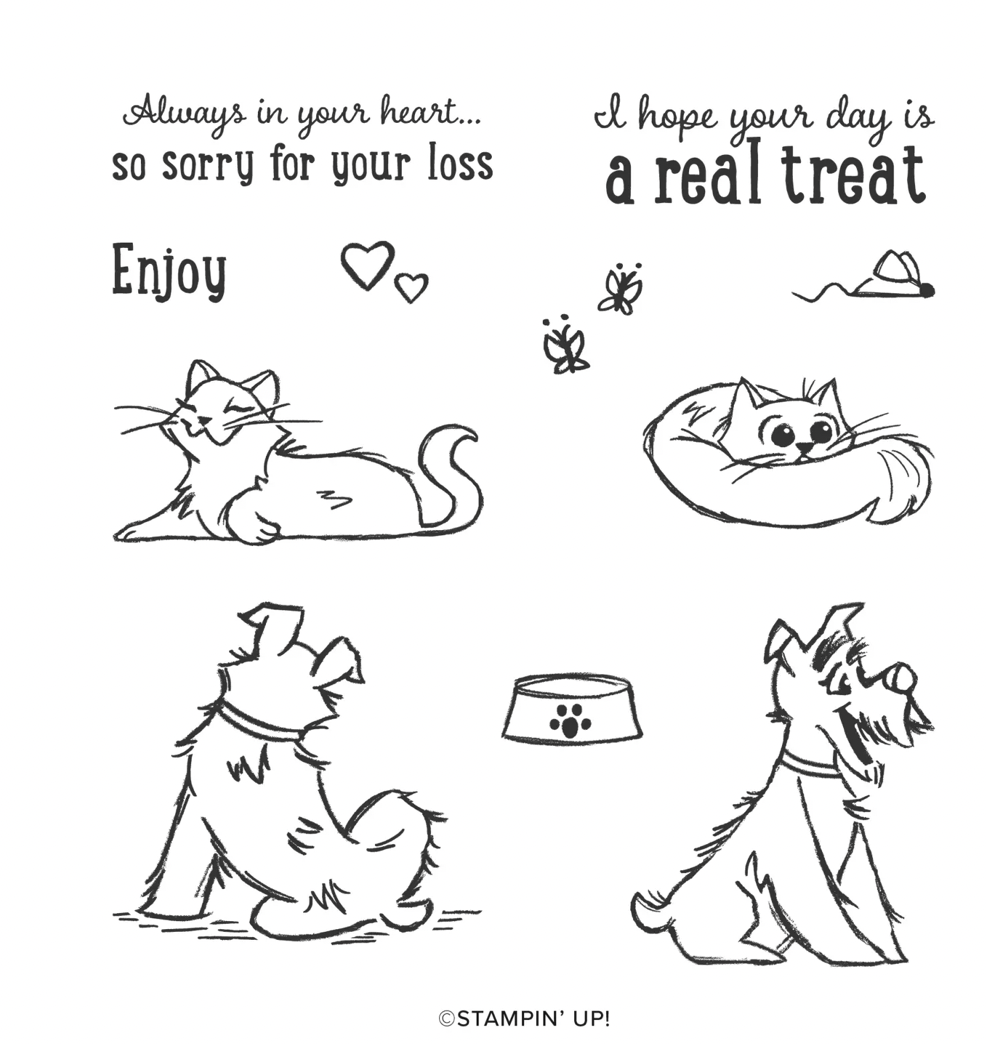 Screen Shot 2022-03-21 at 5.24.25 PM