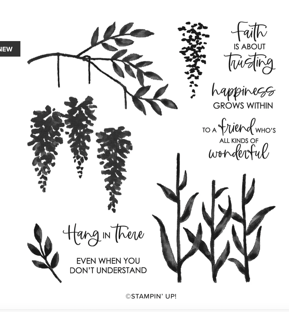 Screen Shot 2022-05-12 at 12.44.51 PM