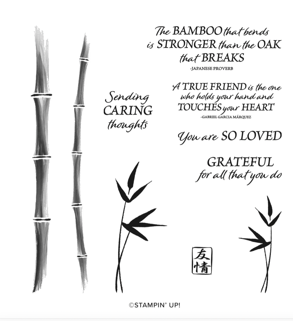 Screen Shot 2022-05-31 at 11.55.15 AM