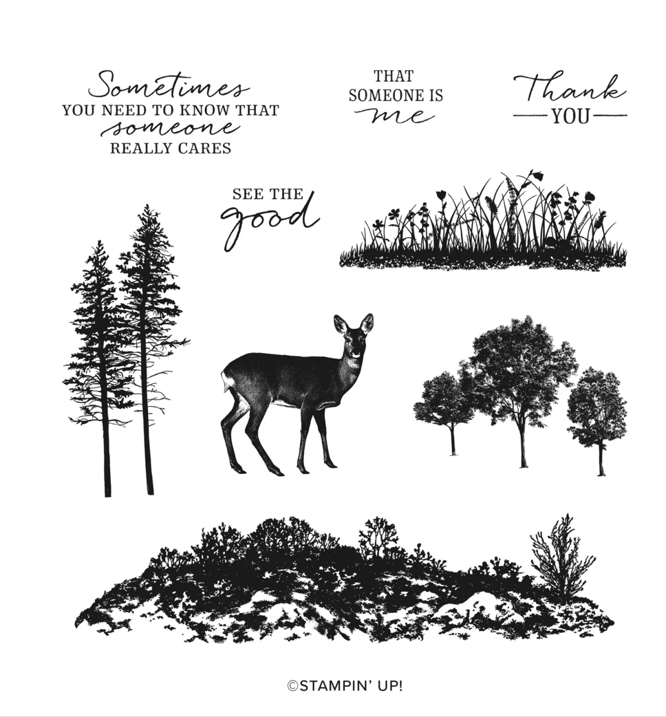 Screen Shot 2022-06-09 at 4.32.28 PM