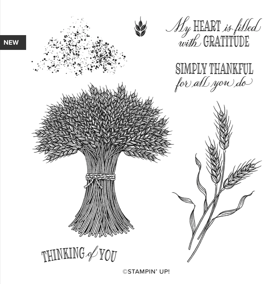 Screen Shot 2022-07-12 at 2.07.04 PM