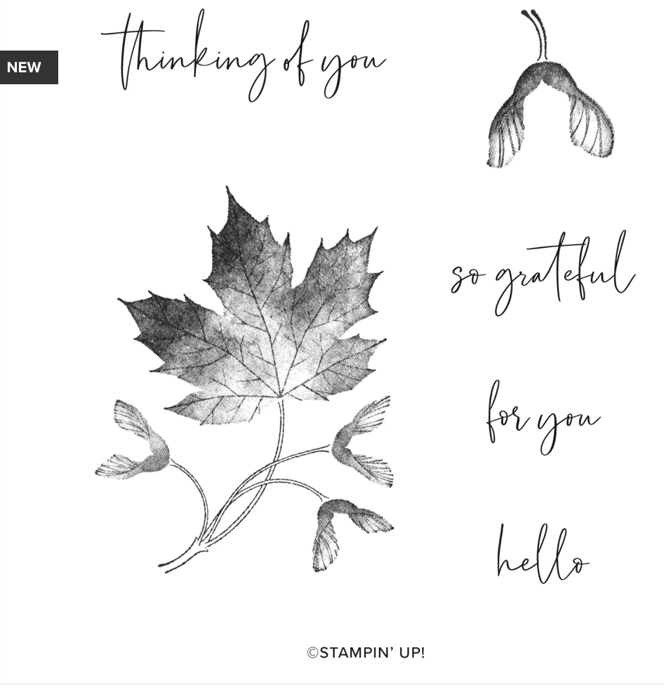 Screen Shot 2022-07-18 at 5.33.44 PM