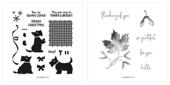 Screen Shot 2022-07-30 at 4.17.58 PM