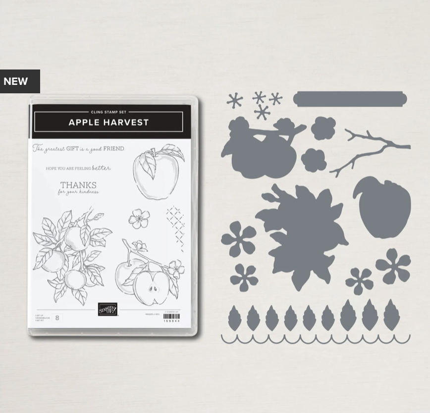 Screen Shot 2022-09-01 at 8.58.10 AM