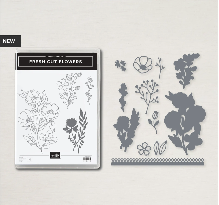 Screen Shot 2022-09-01 at 9.00.28 AM