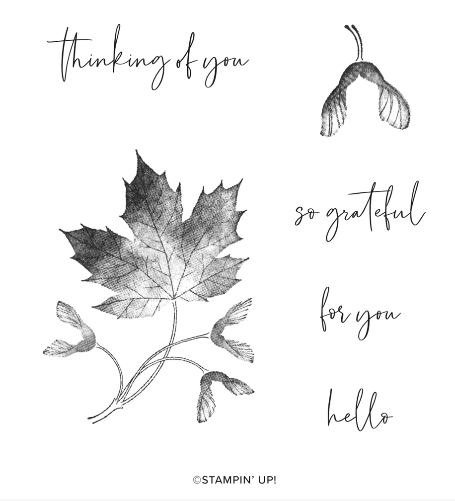 Screen Shot 2022-09-20 at 9.37.37 AM