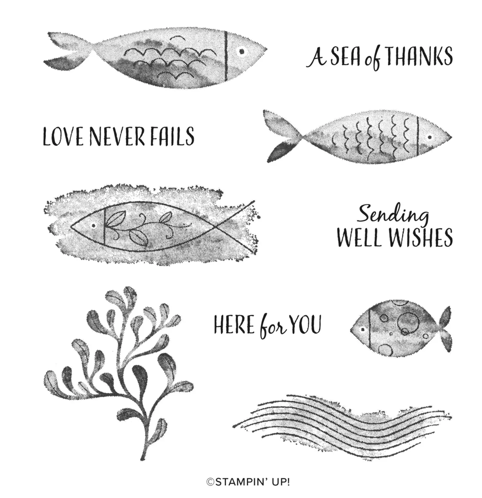 Screen Shot 2022-09-24 at 1.55.40 PM