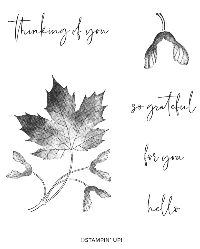 Screen Shot 2022-10-13 at 1.55.51 PM