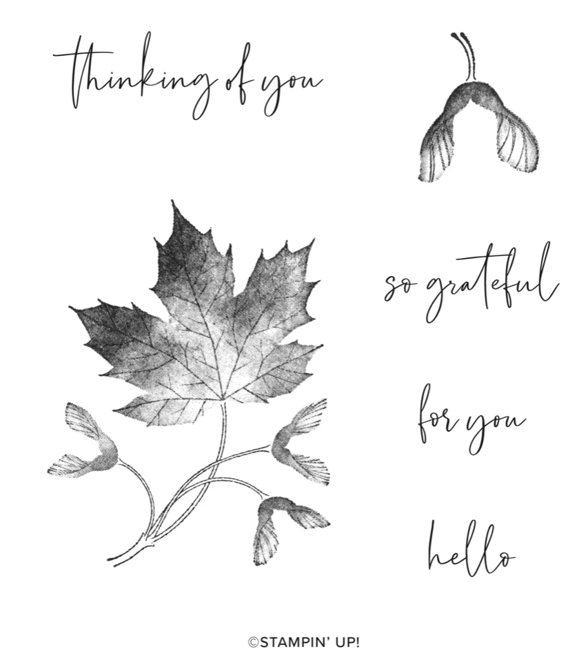 Screen Shot 2022-11-20 at 4.59.12 PM