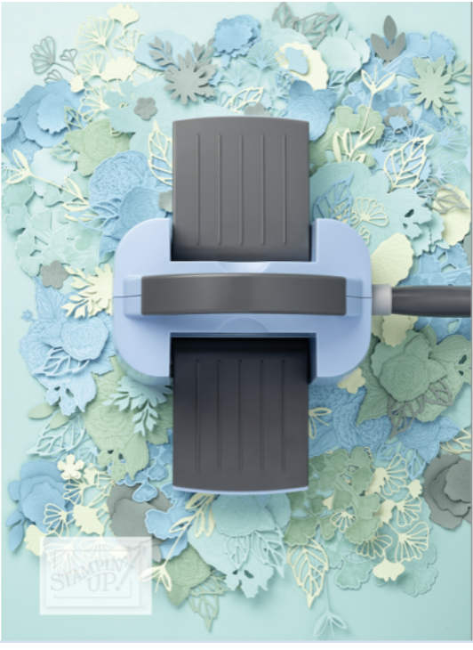 Screen Shot 2023-01-05 at 5.06.40 AM