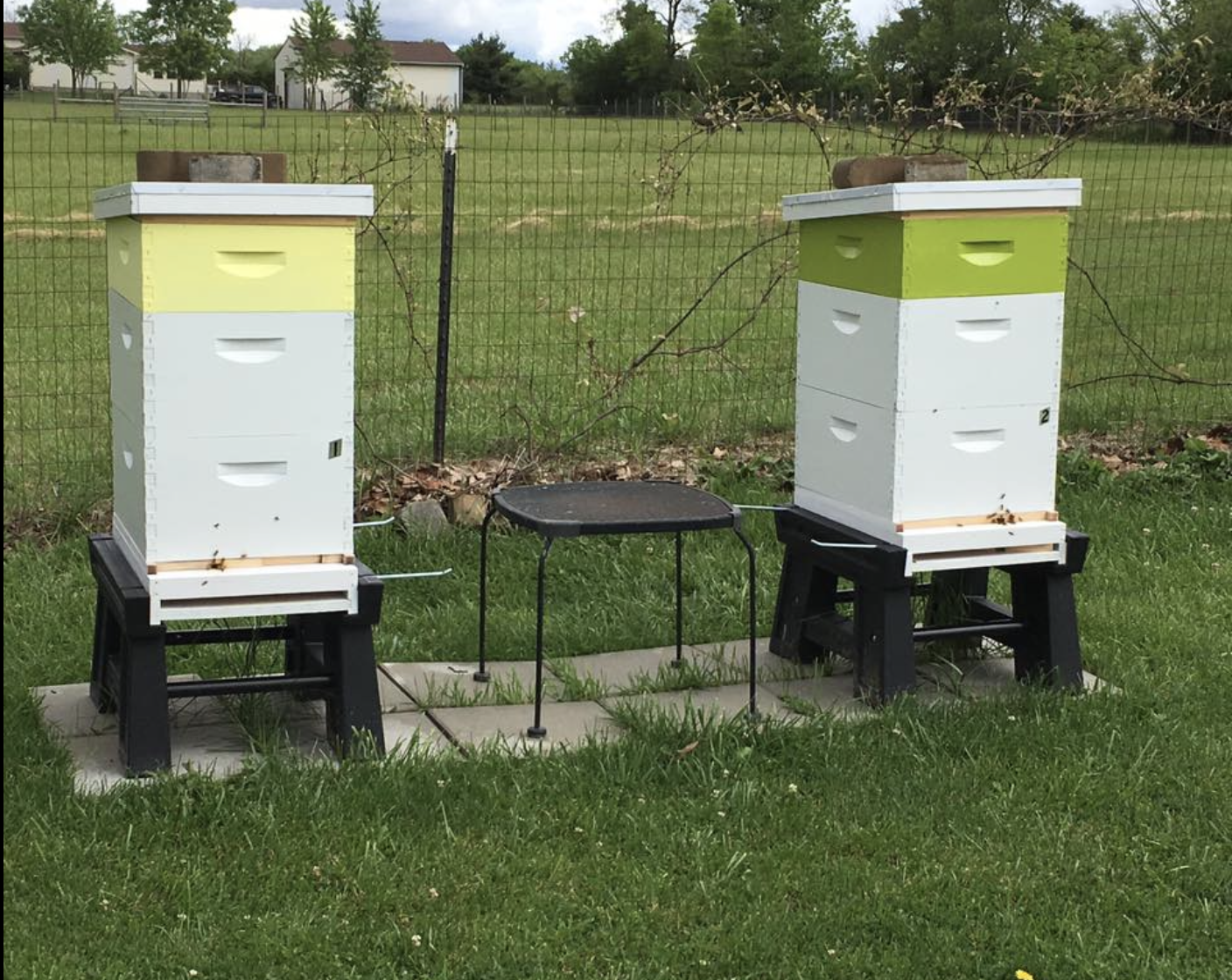 Screenshot 2023-02-04 at 9.39.25 AM