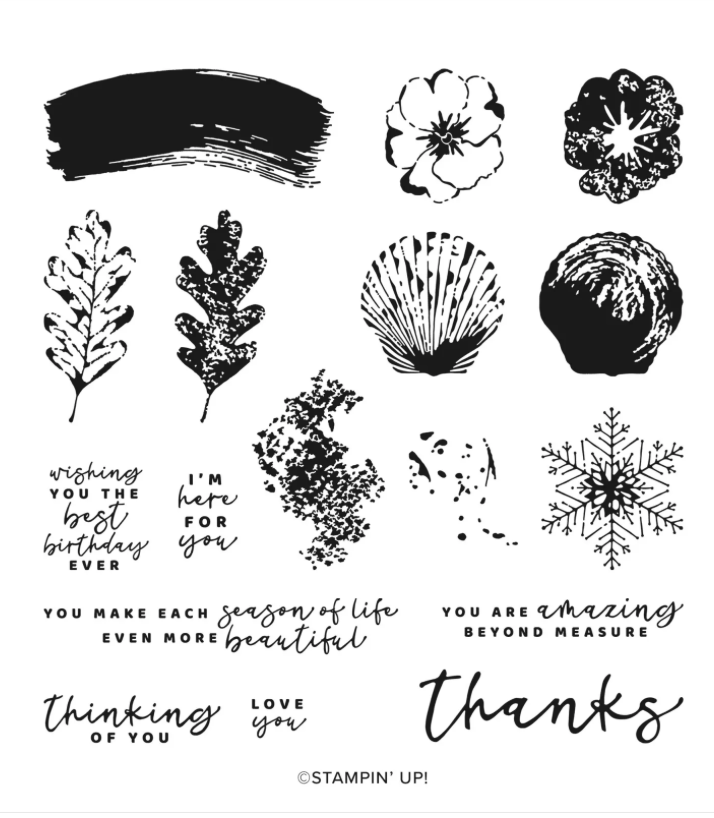 Screenshot 2023-04-25 at 4.15.52 PM