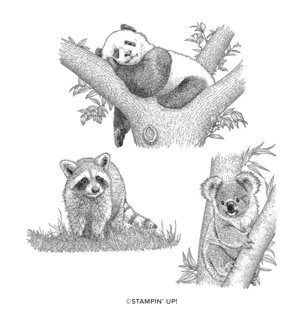 Screenshot 2023-07-25 at 4.59.15 PM