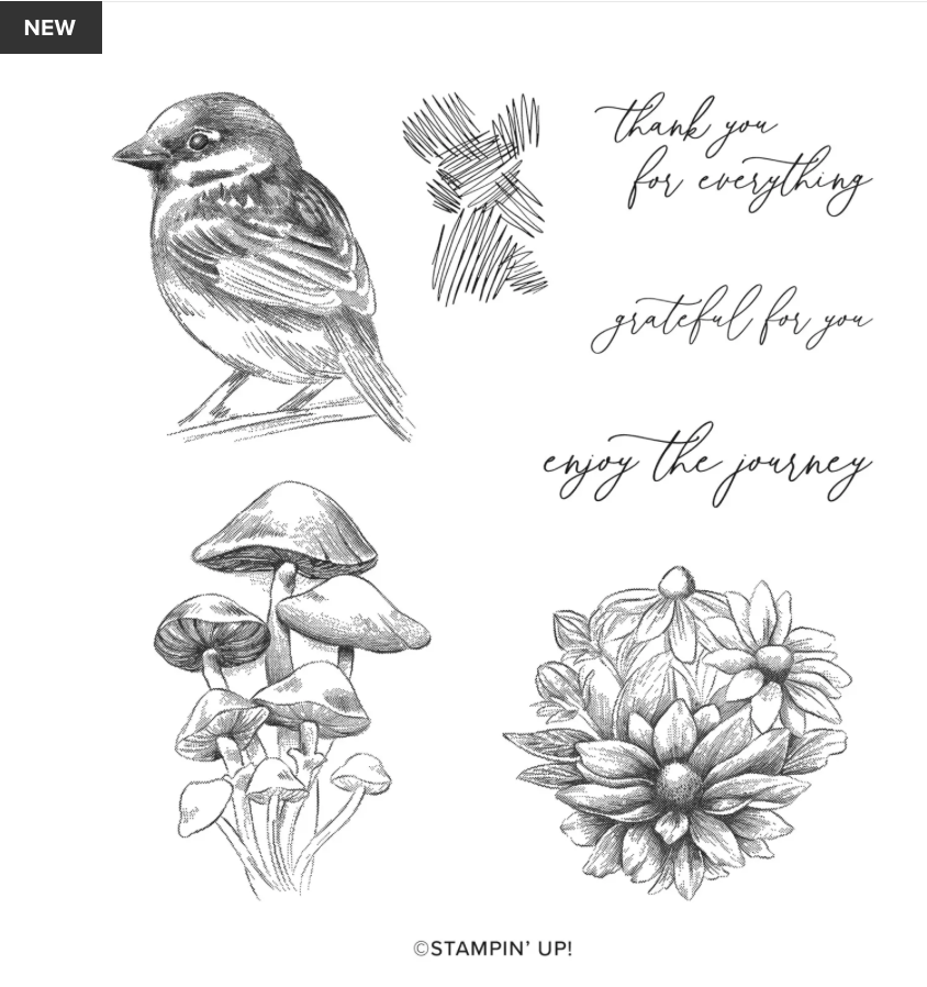 Screenshot 2024-01-06 at 7.17.29 AM