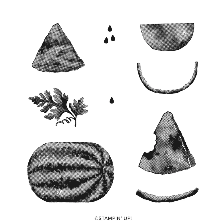 Screenshot 2024-02-11 at 7.19.36 AM